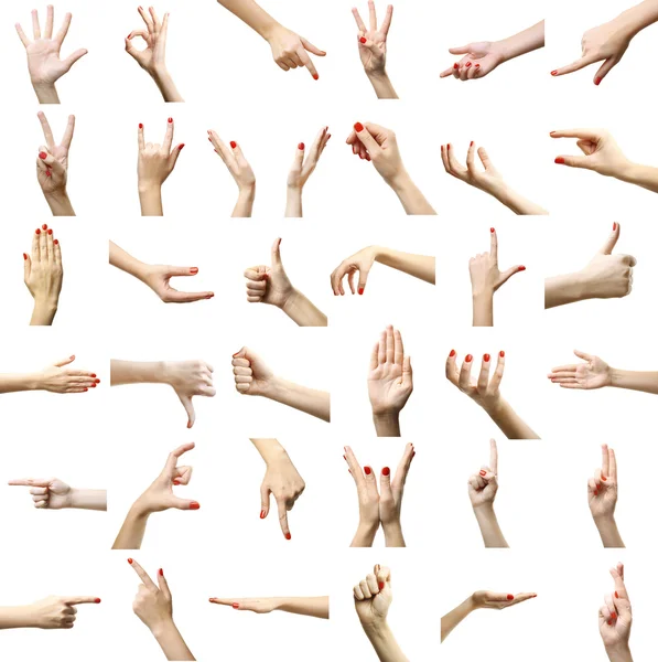 Set of female hands gestures, isolated on white — Stock Photo, Image