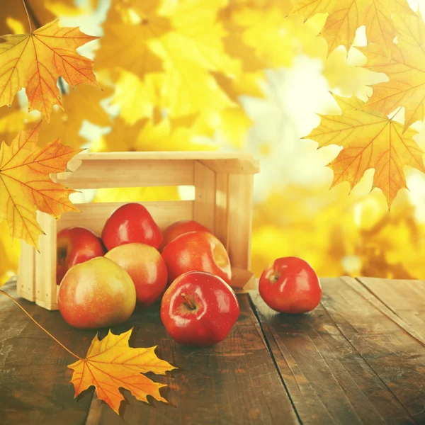 Gemorste rode appels in de buurt van krat op aard achtergrond — Stockfoto