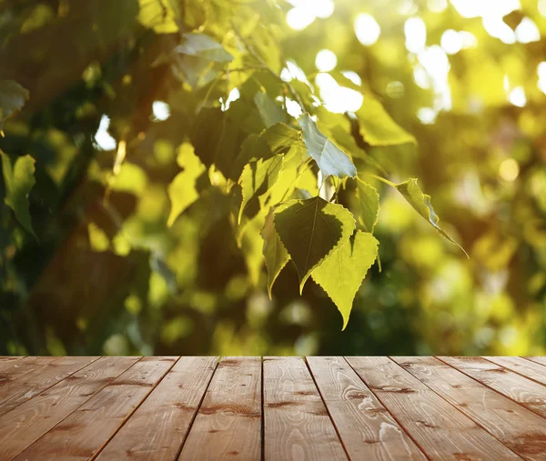 Prachtige lente of zomer seizoen — Stockfoto