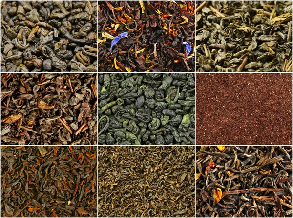 Assortment of dry tea close-up — Stock Photo, Image