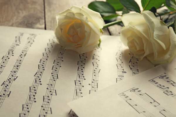 Beautiful roses on music sheets