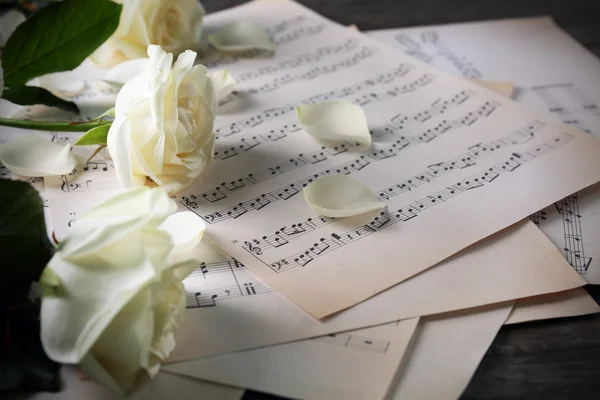 Beautiful roses on music sheets — Stock Photo, Image