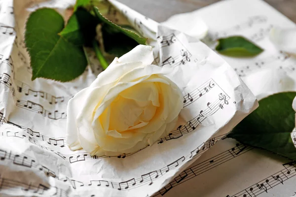 Beautiful rose on music sheets — Stock Photo, Image