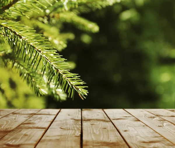 Vacker vår eller sommar säsong — Stockfoto