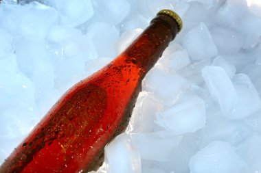 bir bira buz içinde