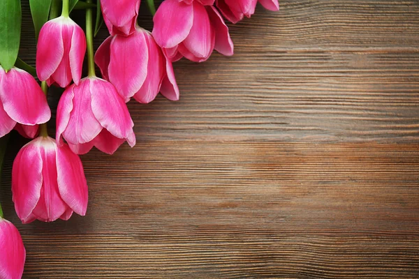 Tulipanes rosados frescos — Foto de Stock