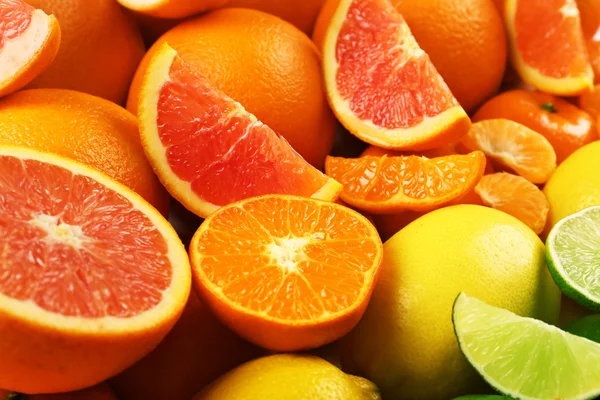 Colorful mixed citrus fruit sorted and lined up in rows with slices and halves, close up — Stock Photo, Image