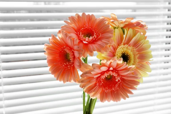 Buquê de gerberas rosa na janela — Fotografia de Stock