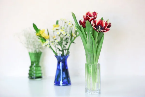 Sträuße frischer Blumen auf weißem Hintergrund — Stockfoto