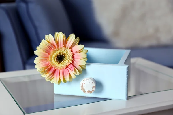 Gerbera rosa na gaveta azul em uma mesa — Fotografia de Stock