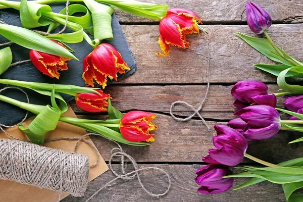 Tulipanes rojos y violetas frescos — Foto de Stock