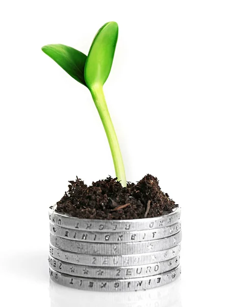 Coins in soil with young plant — Stock Photo, Image