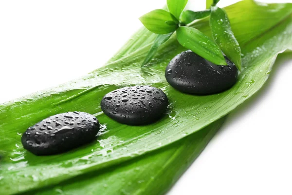 Hot spa stones with bamboo — Stock Photo, Image