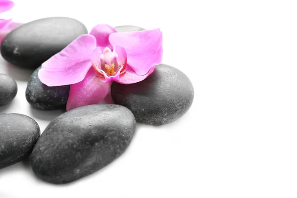 Fekete spa kövek és orchideák — Stock Fotó