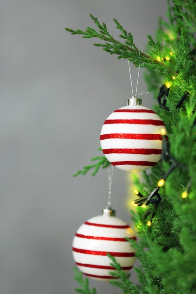 Bola de Navidad en abeto — Foto de Stock