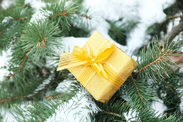 Julklapp på snöiga GranTree — Stockfoto