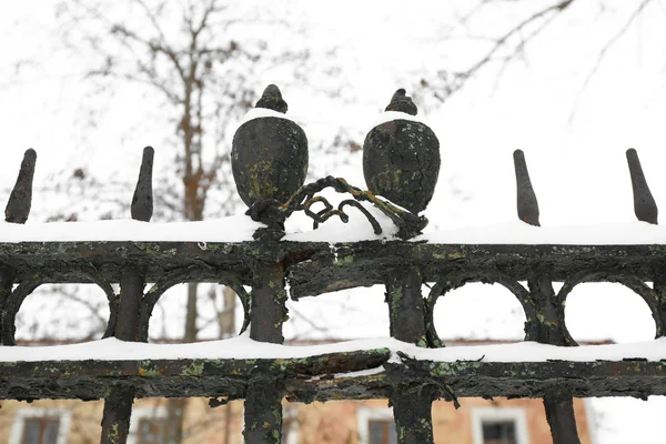 Iron fence in winter yard — Stock Photo, Image