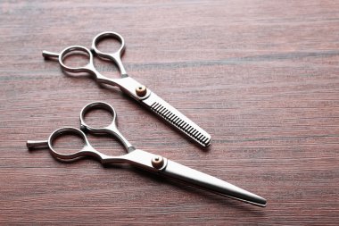 İki profesyonel metal makas 