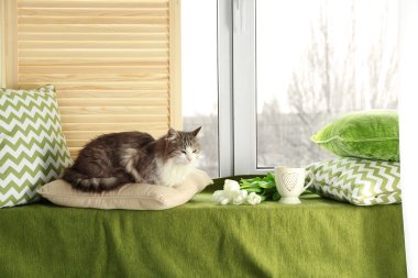 Sıcak ve rahat pencere kenarı