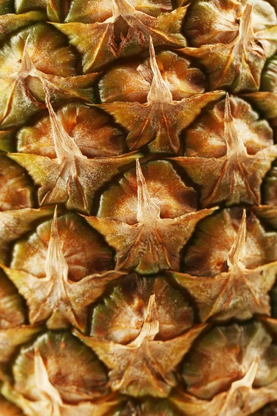 Ananász háttér Vértes — Stock Fotó