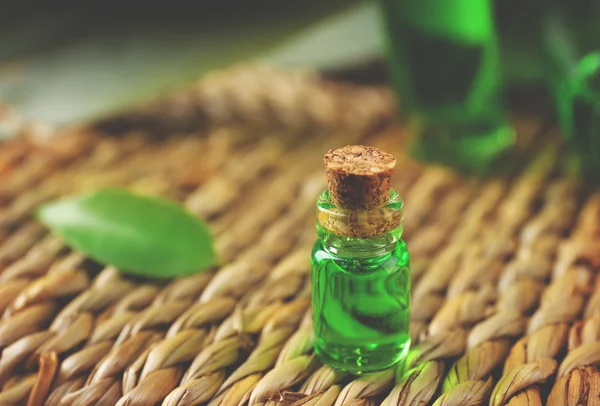 Bottle of tea oil — Stock Photo, Image