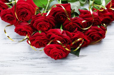 güzel kırmızı gül