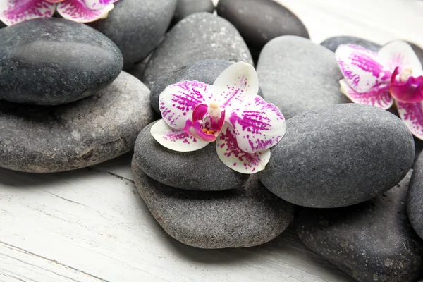 Spa stones and orchids — Stock Photo, Image