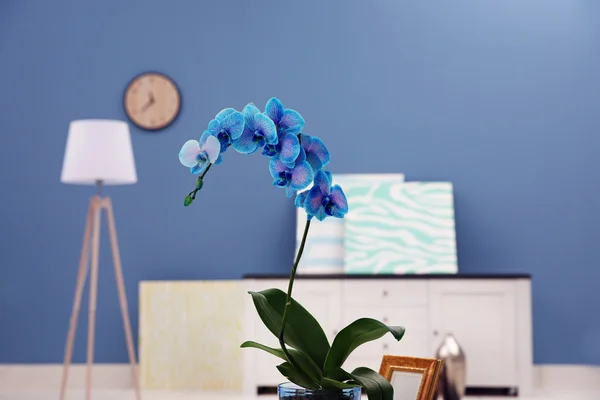 Mooie blauwe orchidee bloem op de tafel — Stockfoto
