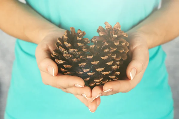 Pine cones in woman hands — Stock Photo, Image