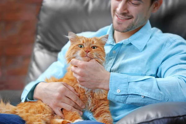 Человек с пушистым котом — стоковое фото