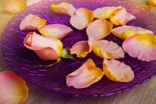 Rosa pétalos de rosa en tazón púrpura — Foto de Stock