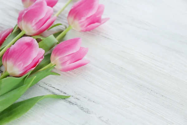 Verse roze tulpen — Stockfoto