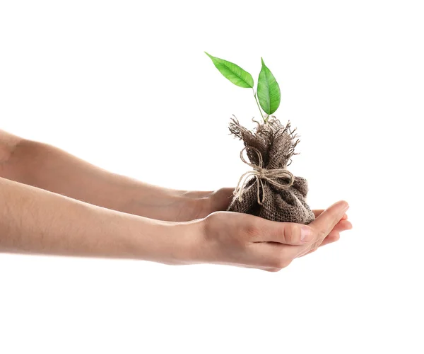 Mãos segurando planta jovem — Fotografia de Stock