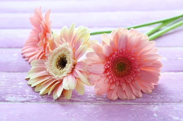 Buquê de gerberas rosa no fundo de madeira — Fotografia de Stock