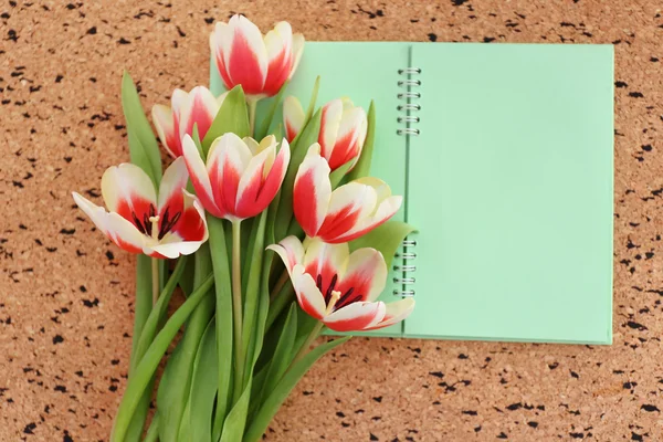Bouquet of variegated tulips with notebook on pin board — Stock Photo, Image