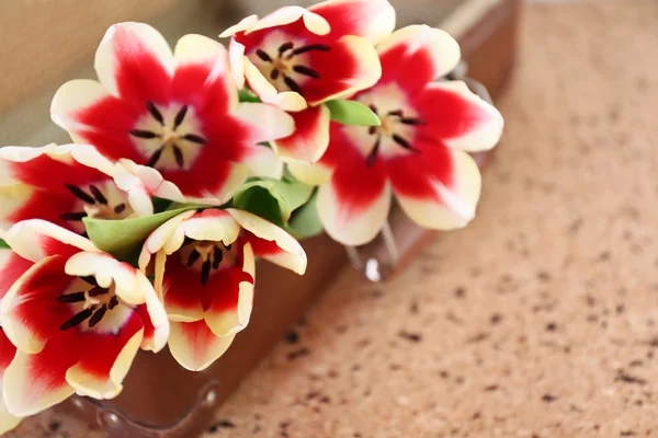 Bouquet of variegated tulips on old suitcase over pin board — Stock Photo, Image