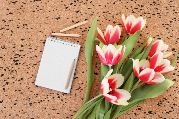 Аромат разноцветных тюльпанов с ноутбуком и ручками на доске — стоковое фото