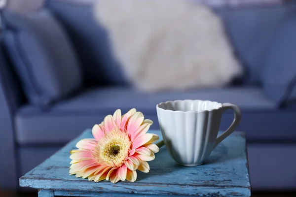 Gerbera rosa con tazza sul tavolo blu in una stanza — Foto Stock