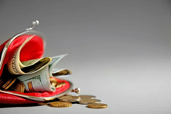 Doları banknot ve gri arka plan üzerinde para ile açık kırmızı çanta — Stok fotoğraf