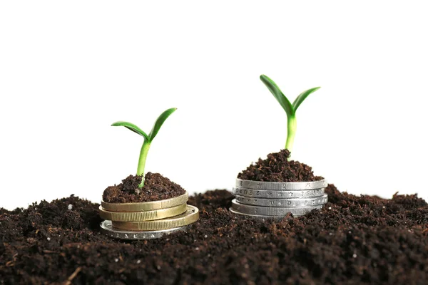 Pièces de monnaie dans le sol avec jeune plante isolée sur blanc — Photo