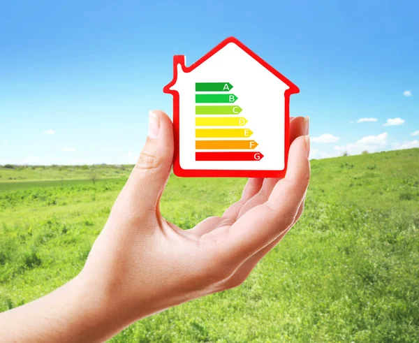 energy efficiency scale