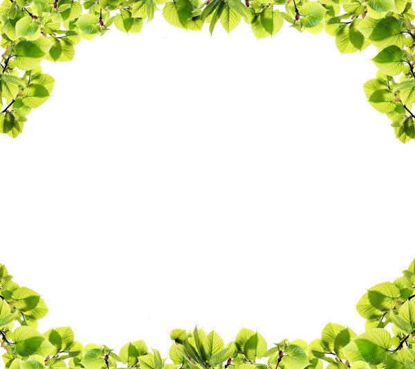 Frame with spring twigs 