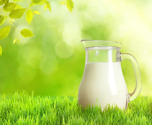 Färsk mjölk i jug — Stockfoto