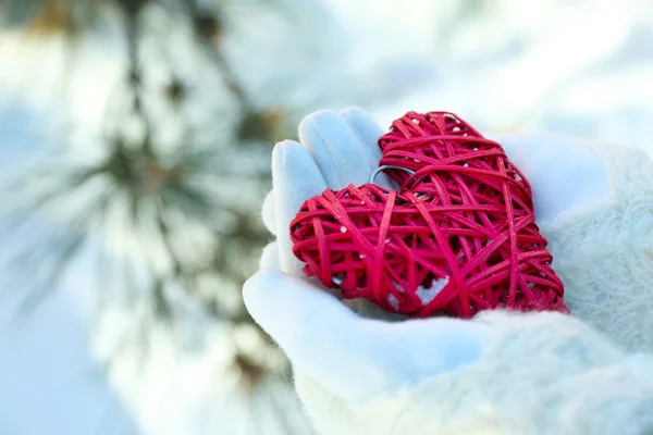 Mani che tengono il cuore rosso — Foto Stock