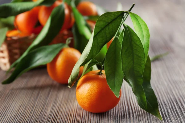 Fresh tangerines with leaves — Stock Photo, Image