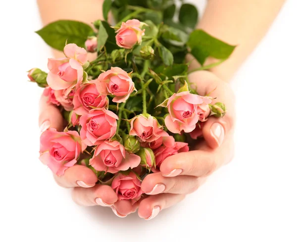 Woman hands with beautiful roses — Stock Photo, Image