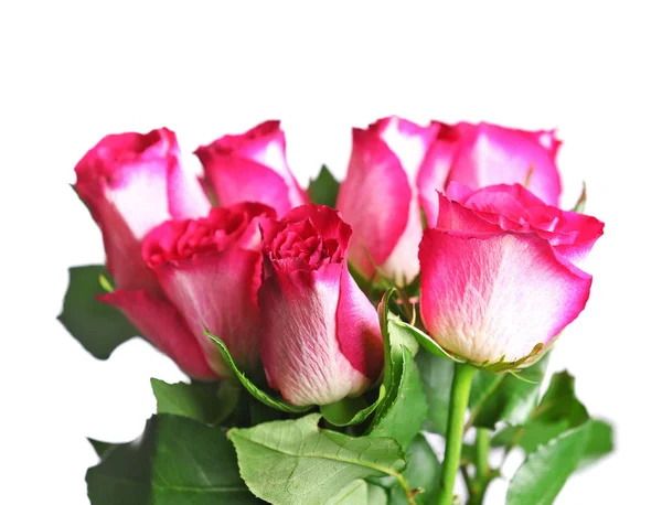 一束粉红色的玫瑰 — 图库照片
