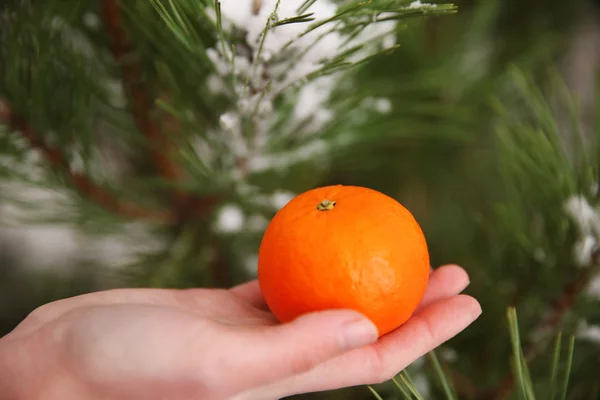 Vrouwelijke handen met een tangerine — Stockfoto