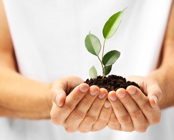 Male hands holding soil and plant, closeup