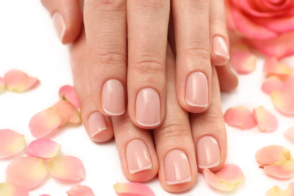 Hands with beautiful rose — Stock Photo, Image